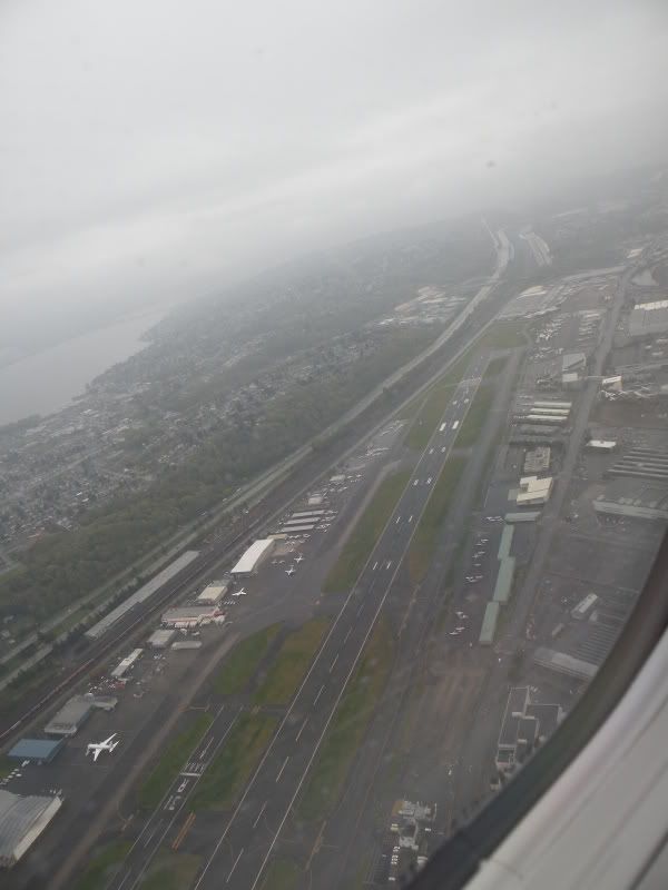 DSCN7968.jpg