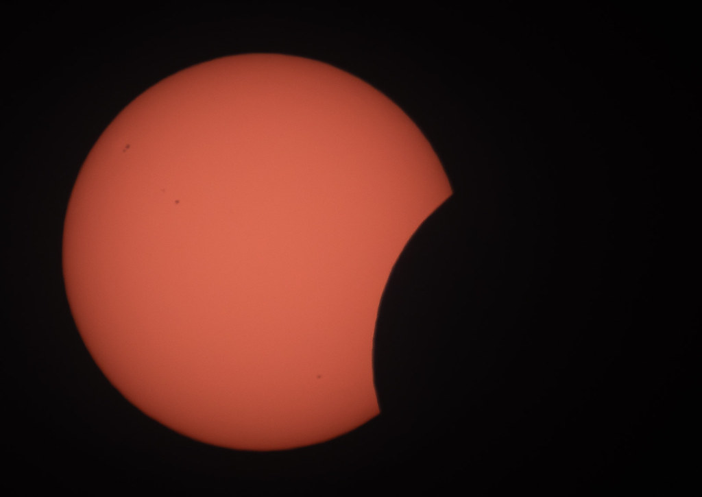 55467690065_5b29677f9d_b.jpg