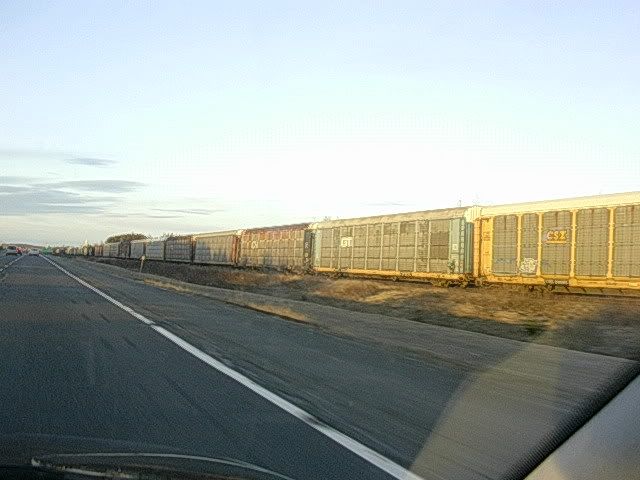DSCN8971.jpg
