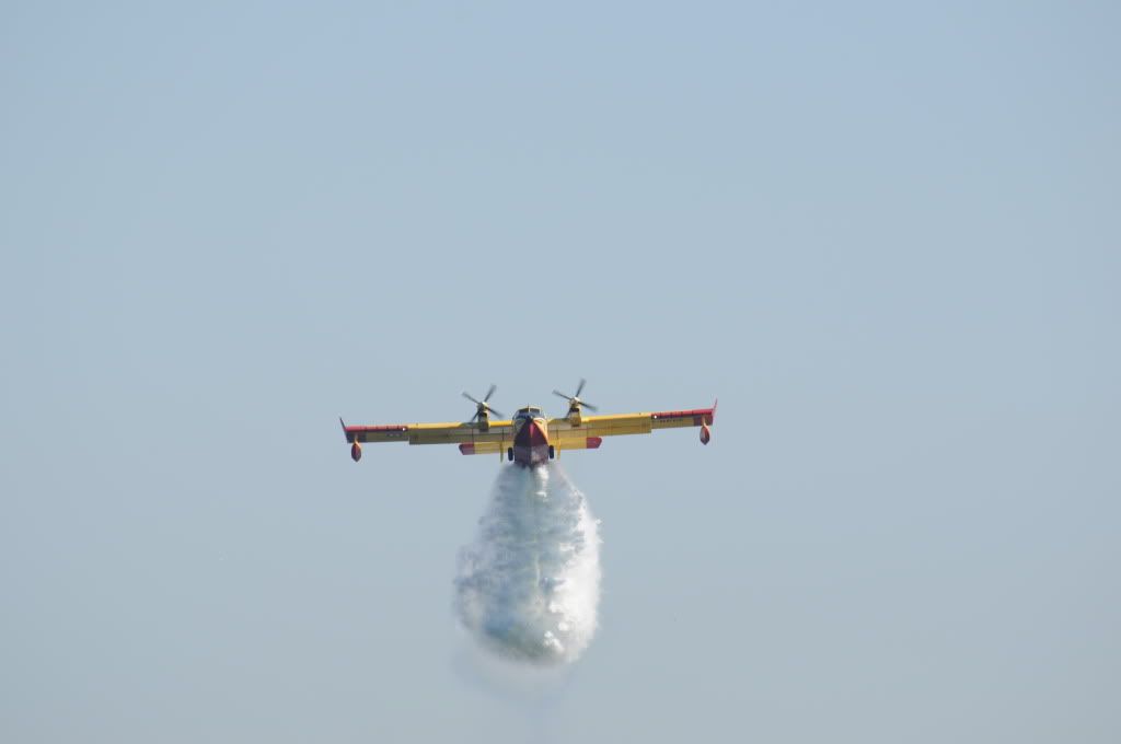 DSC_0305.jpg