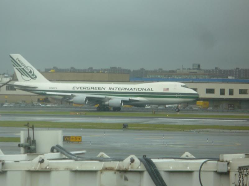 P1020135.jpg