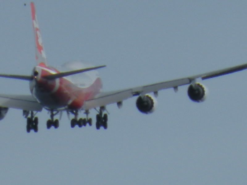 DSCN7745.jpg