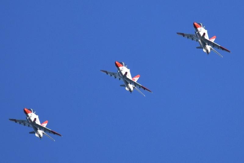 52008835268_1259a5e503_o.jpg