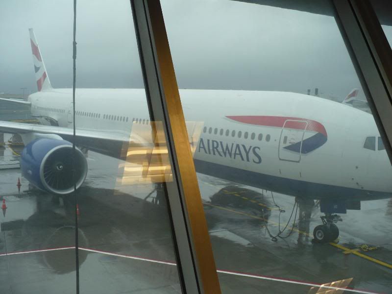 P1020124.jpg