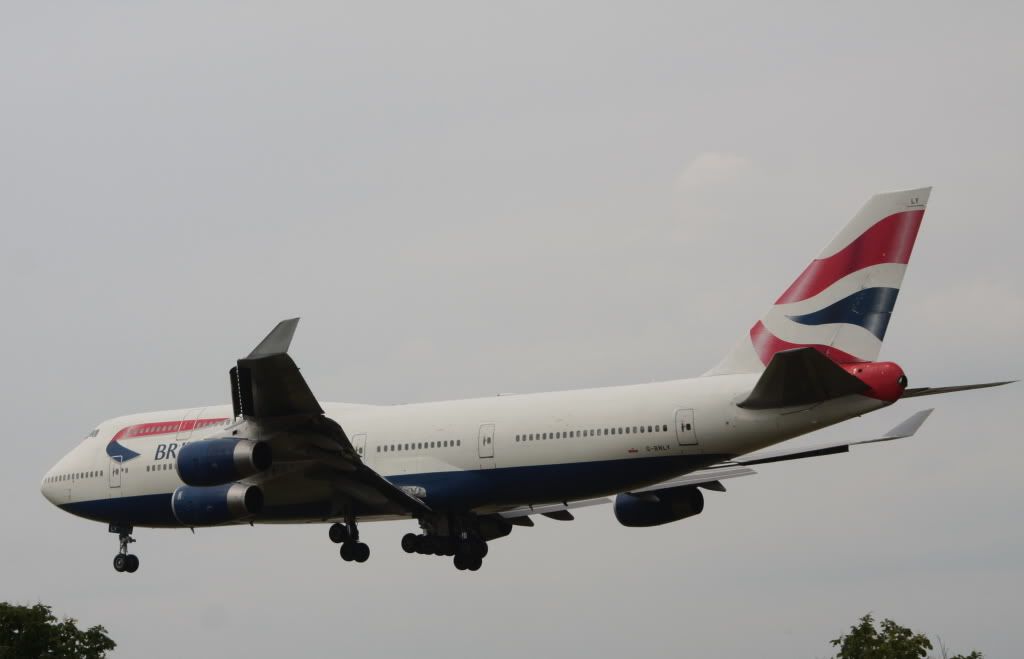 477.jpg