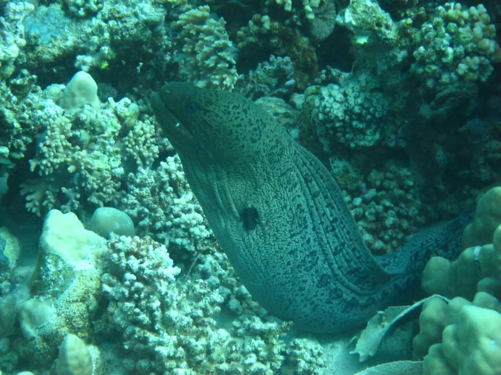 IMG_2296.jpg
