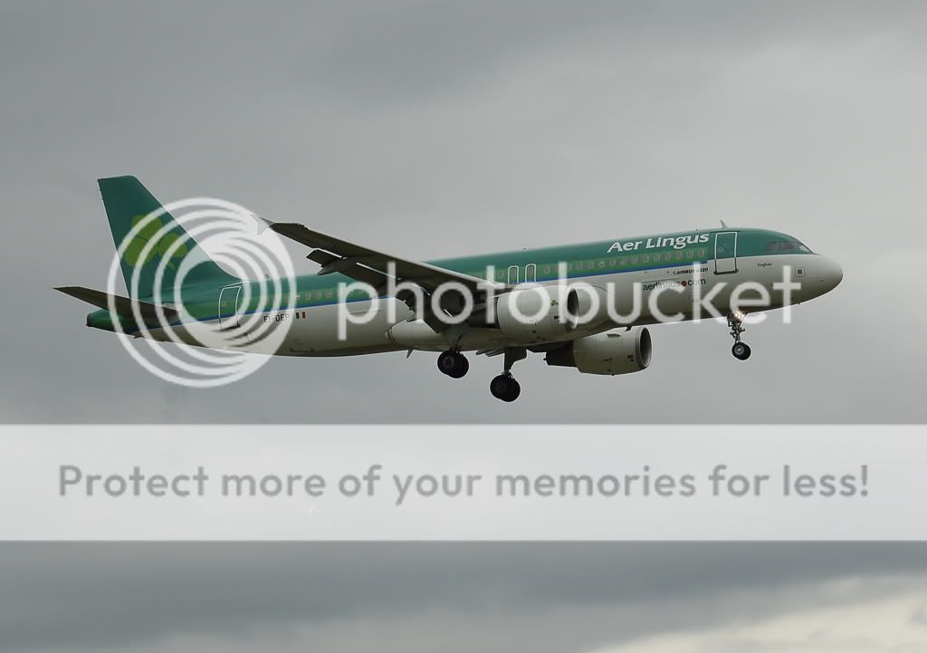 320Lingus.jpg