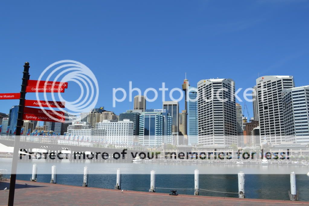 DSC_0278.jpg