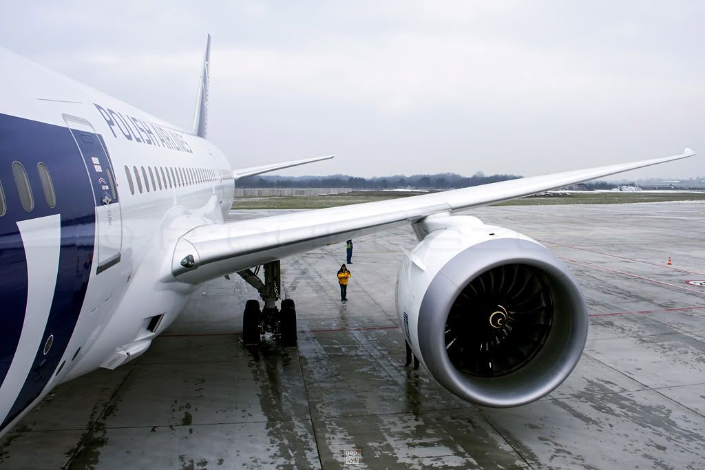 787_FlgelsichtBS.jpg
