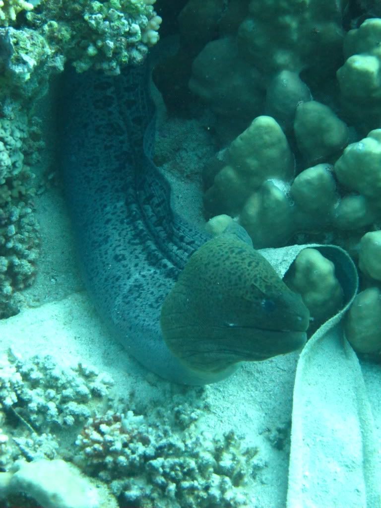 IMG_2300.jpg