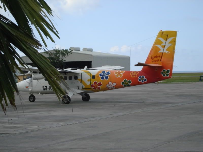 DSC00435.jpg