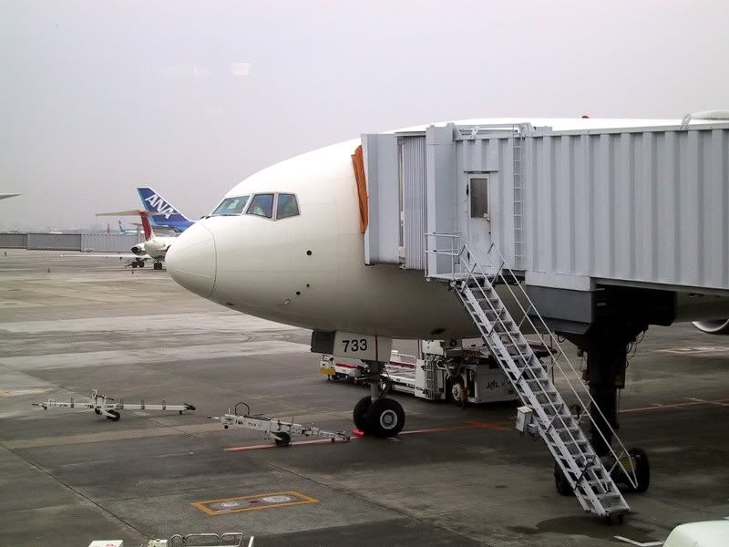jal773ER_1.jpg