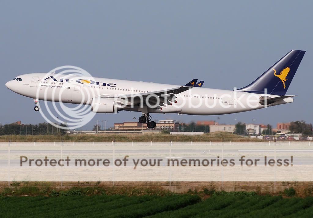 EI-DIP-1.jpg