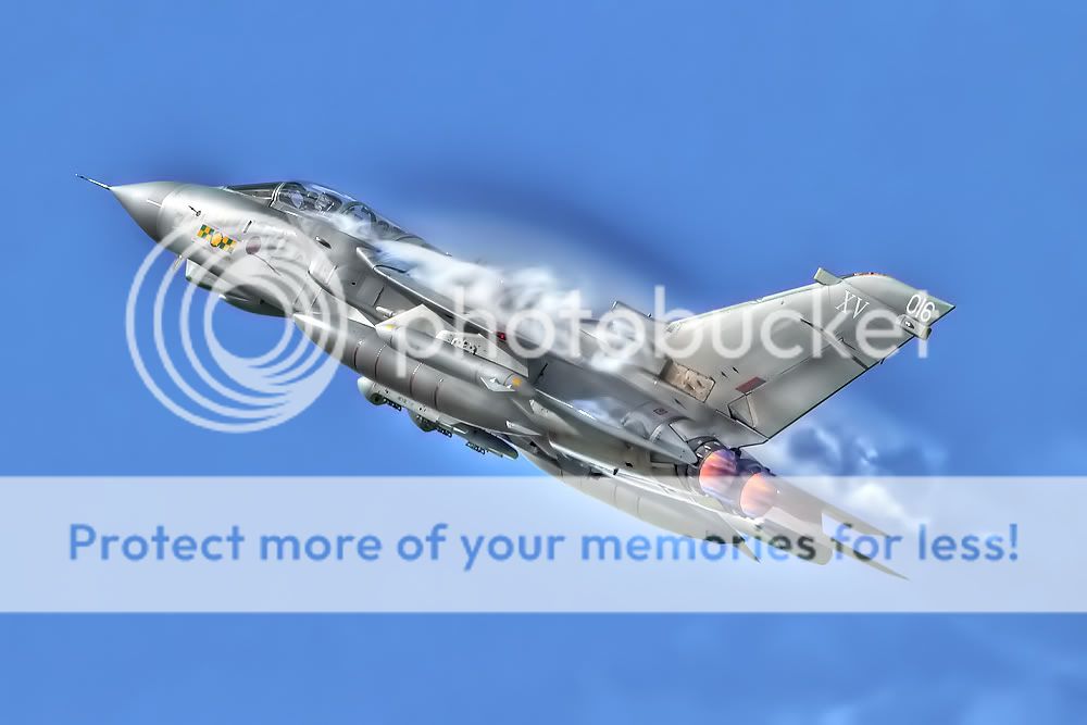 3703.jpg