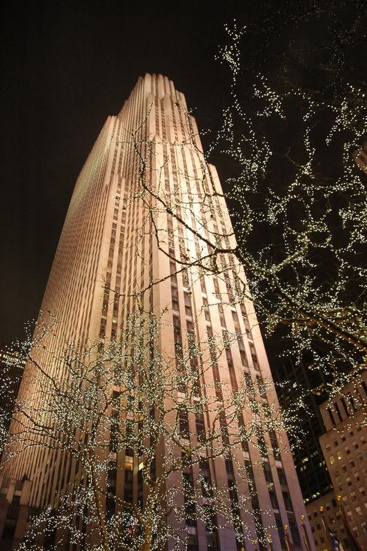 DSC_8470.jpg