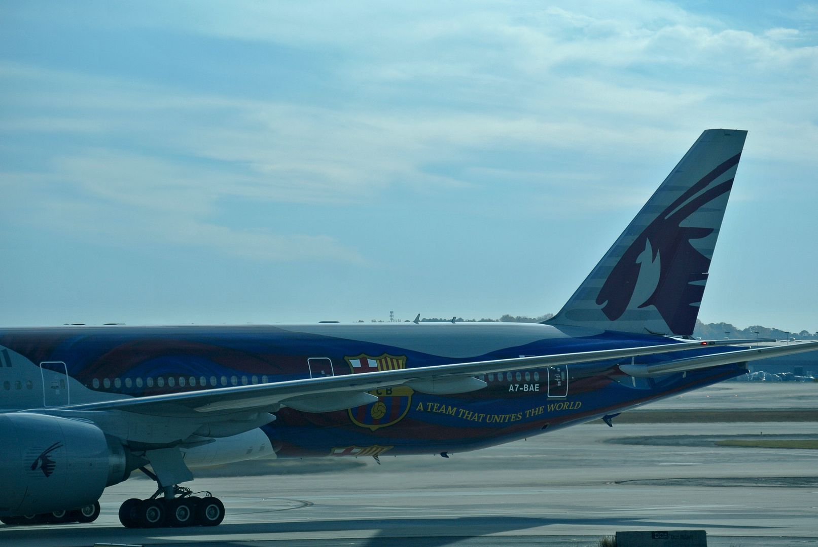 DSC_8161_zpsgmsxf0rm.jpg
