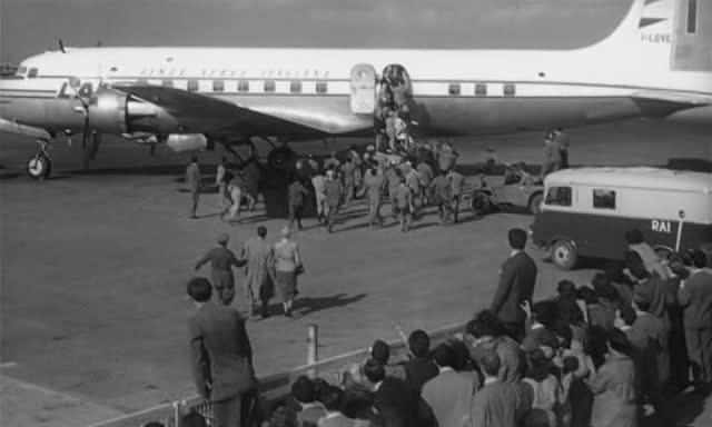 I444552.jpg