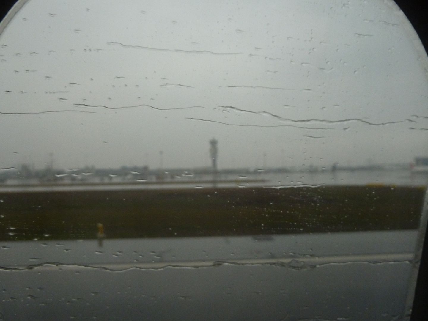 P1020426.jpg