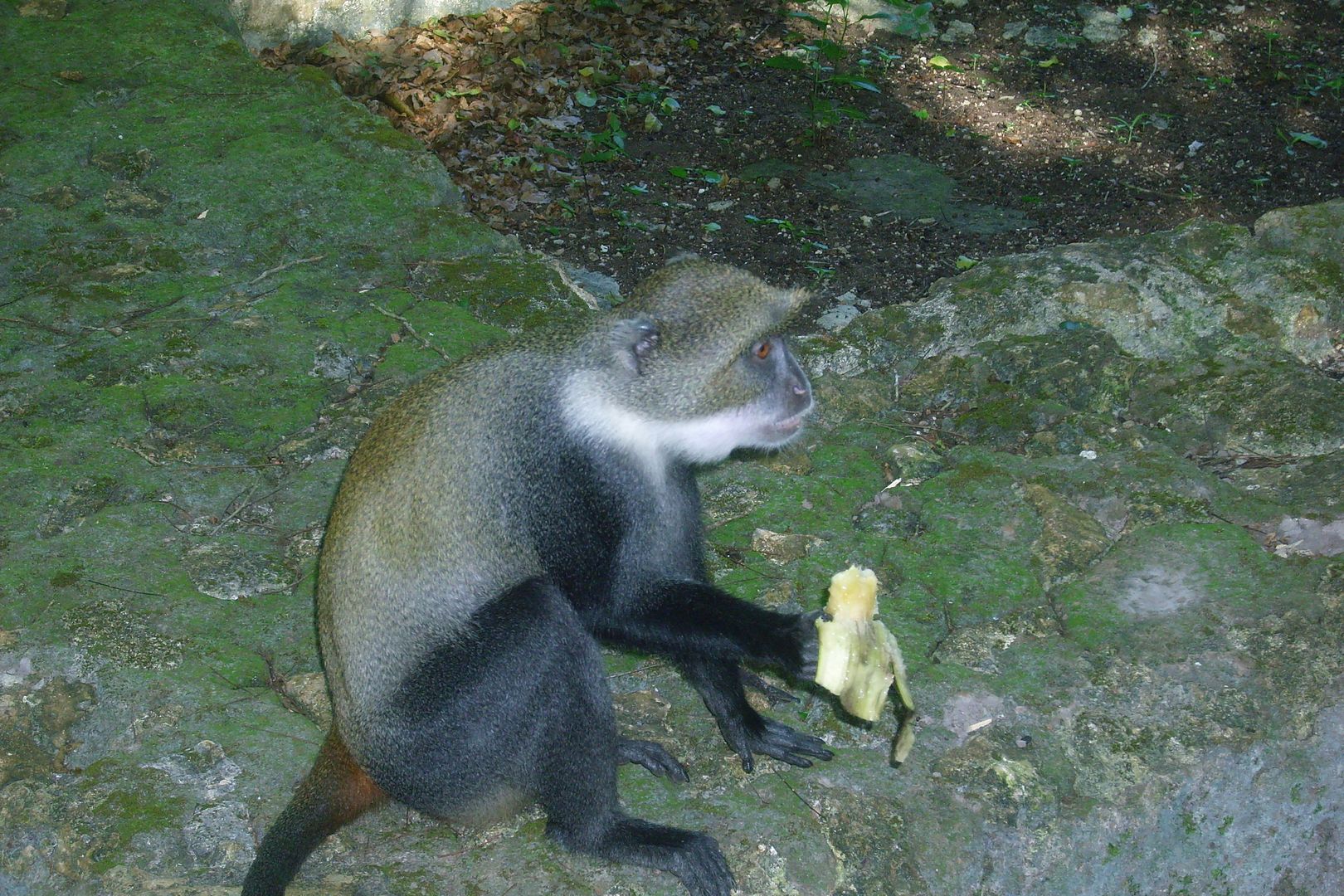 IMG_0565.jpg