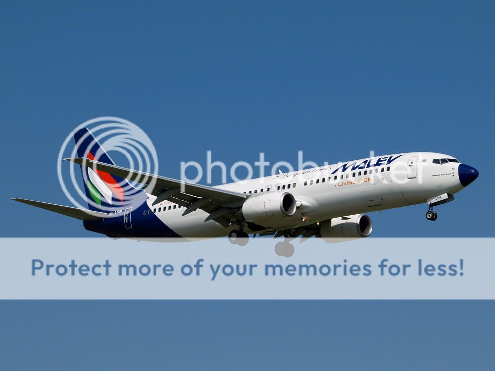 AM018767.jpg