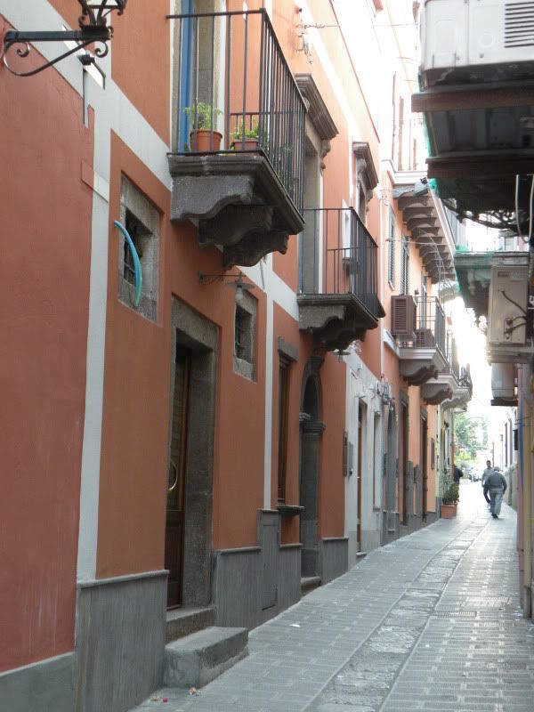 DSCN8091.jpg