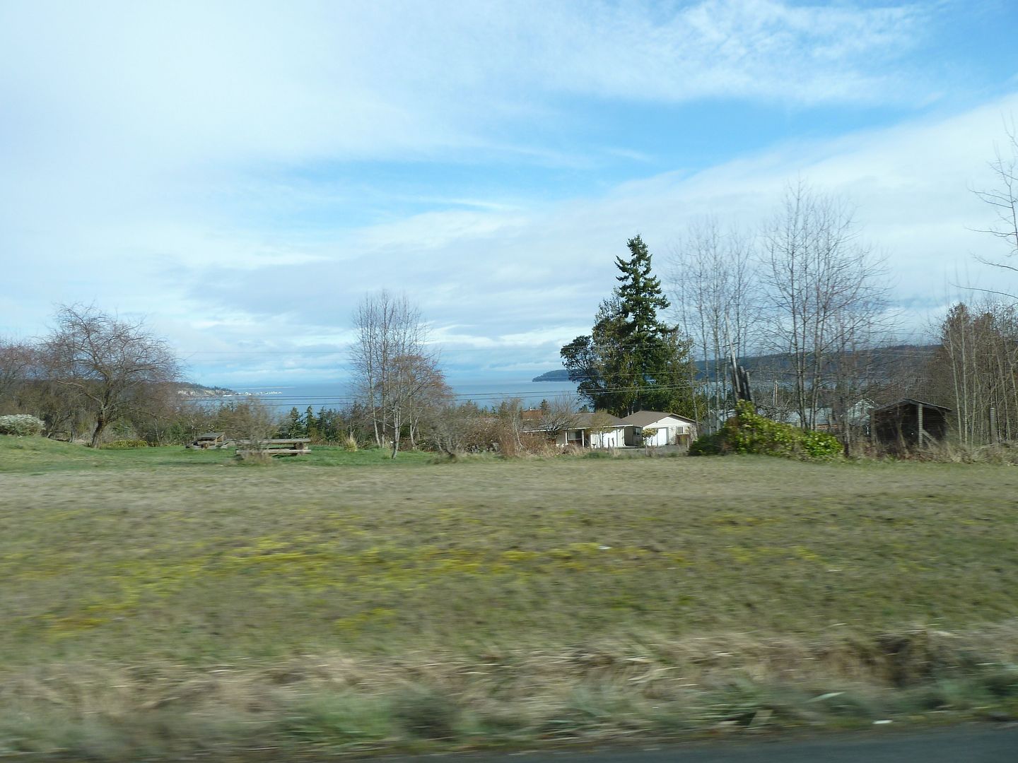 P1020236.jpg