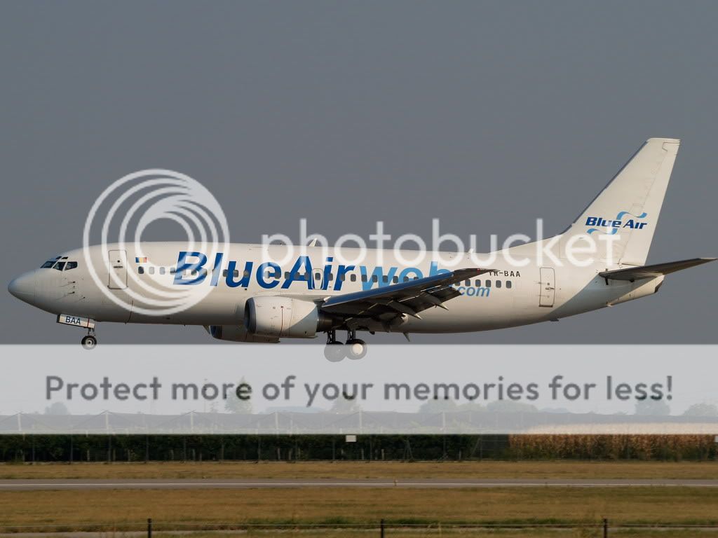 AM309693.jpg