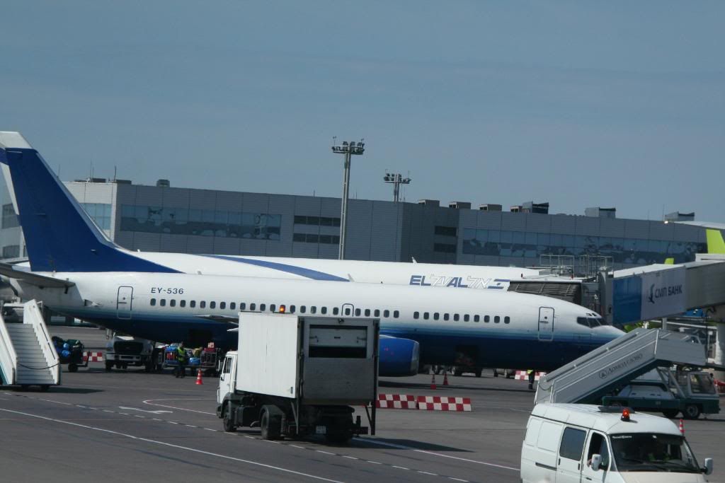 sharm117-1.jpg