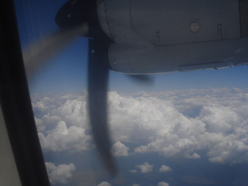 o030.jpg