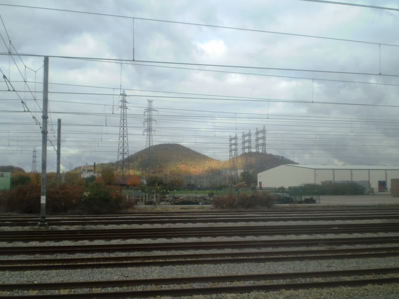 PB040218.jpg