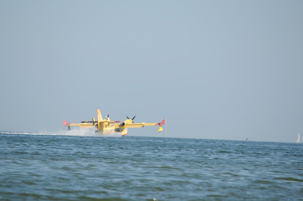 DSC_0446.jpg