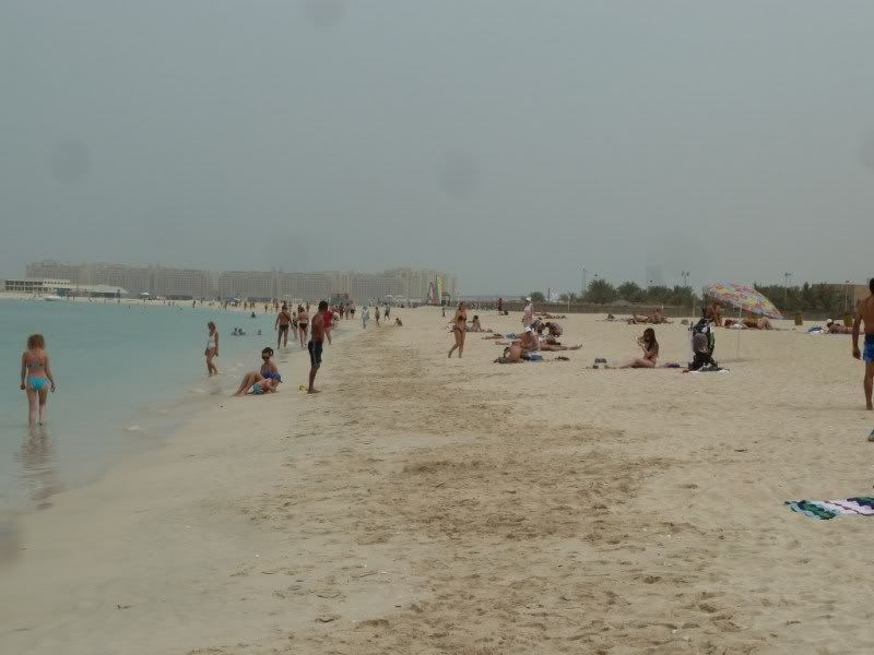 P1110439.jpg