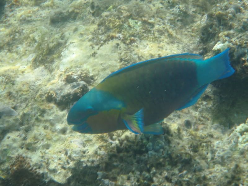 P4180836.jpg