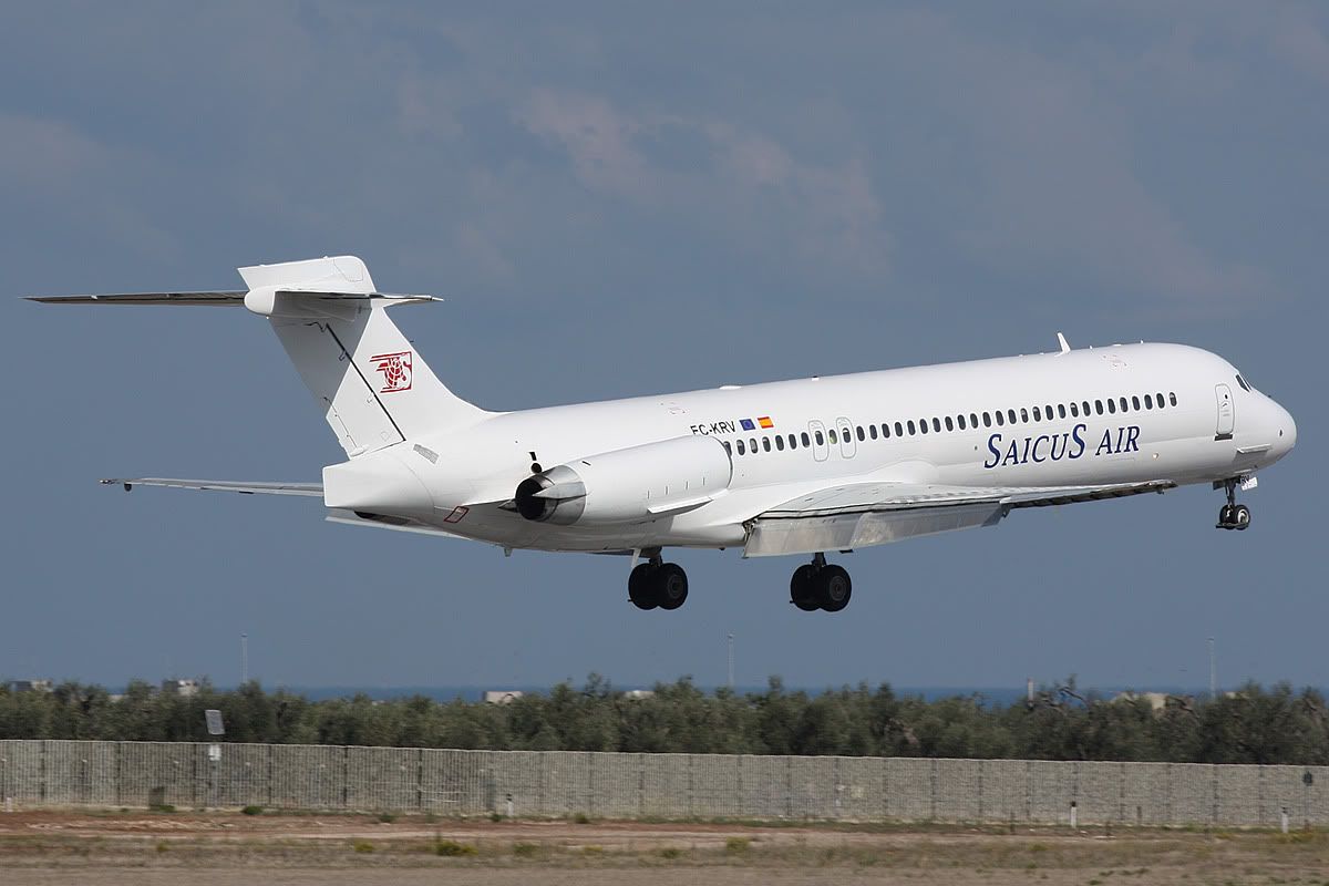 3767.jpg