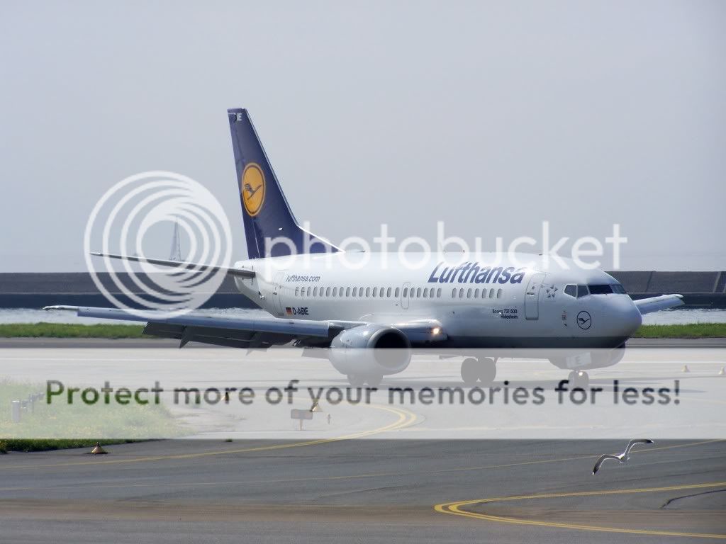 100_2765.jpg