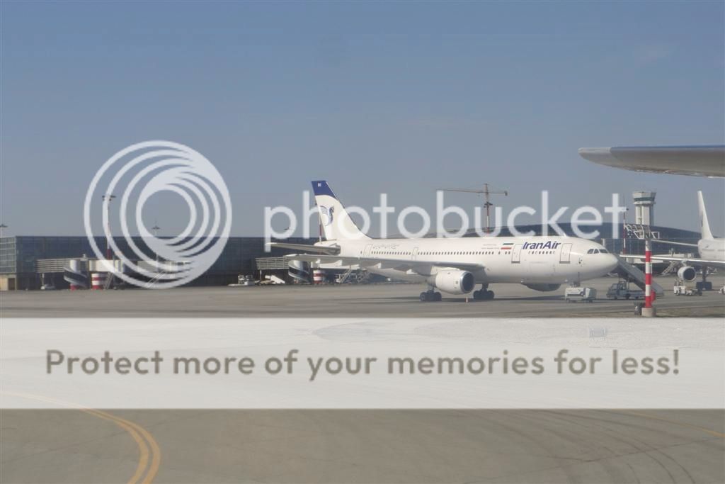 SAM_2786_zps174f959a.jpg