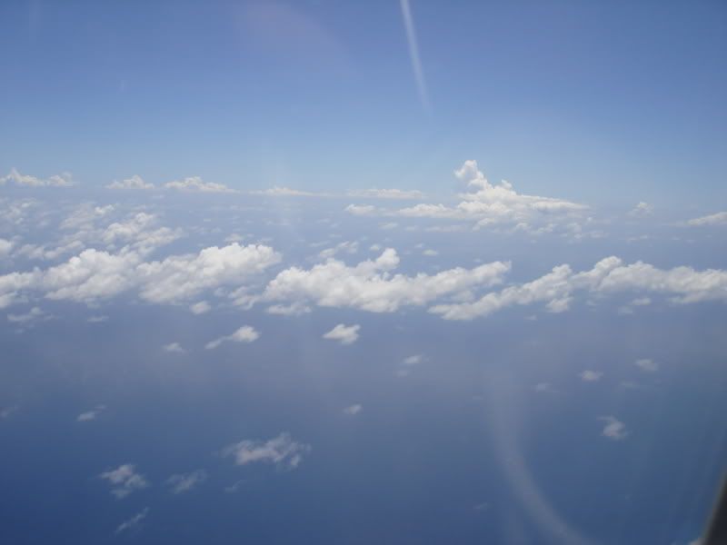 DSC00424.jpg