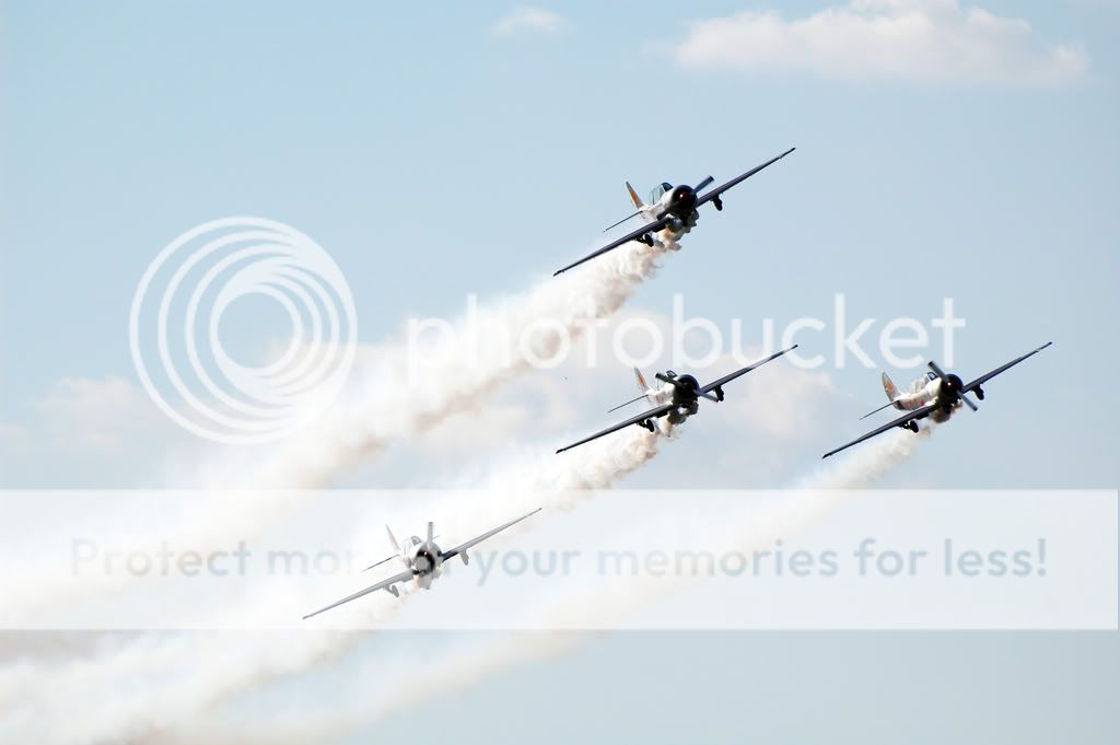 DSC_0376.jpg