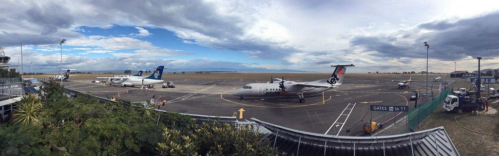trnz170.jpg