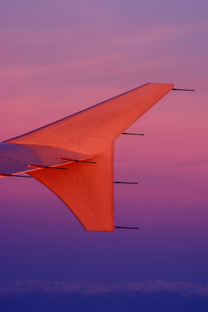 Airbus-A318-wingletsunrise.jpg