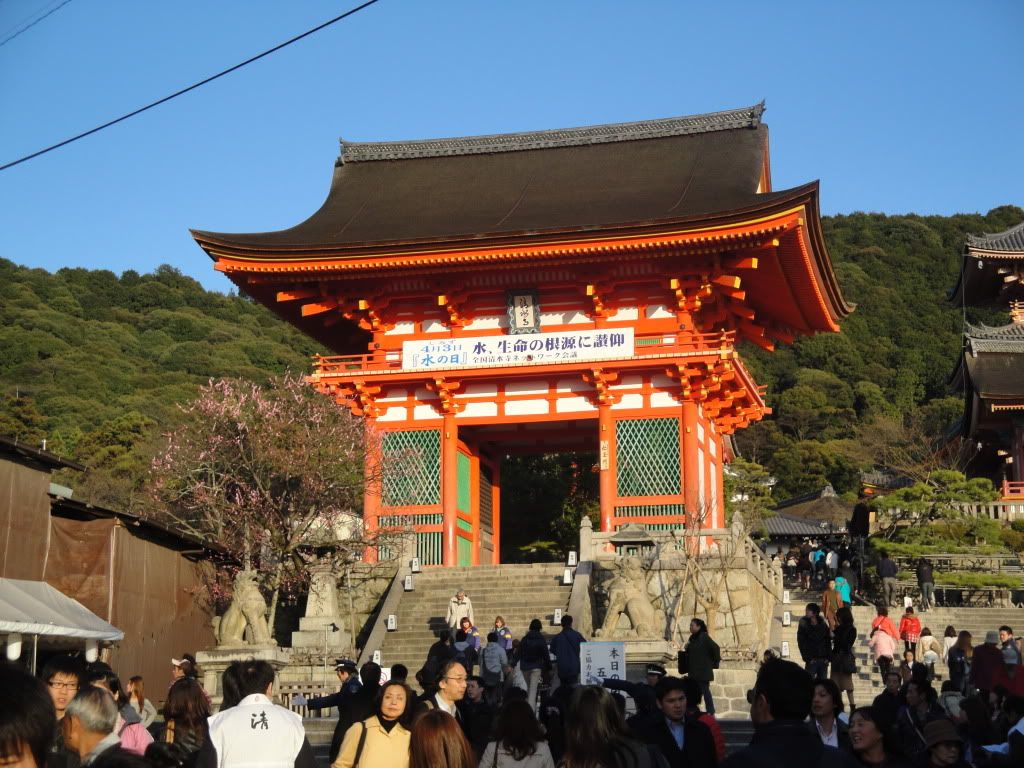 DSC01580.jpg
