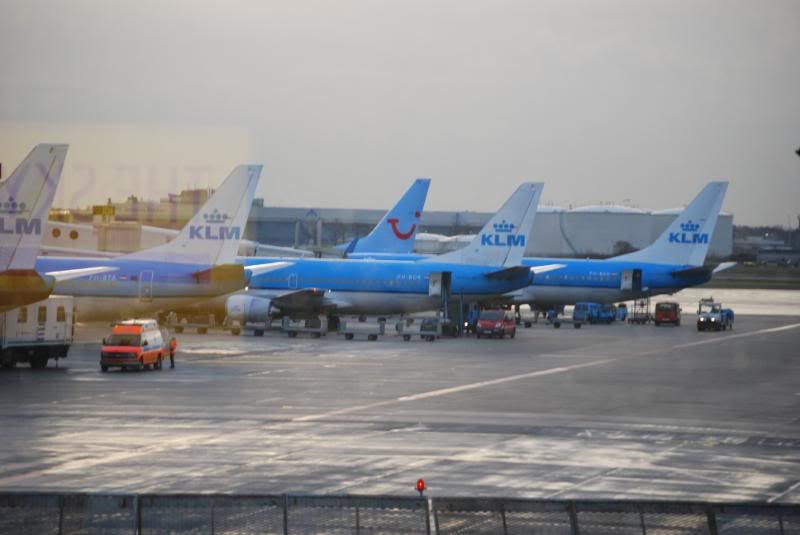 DSC_0030.jpg