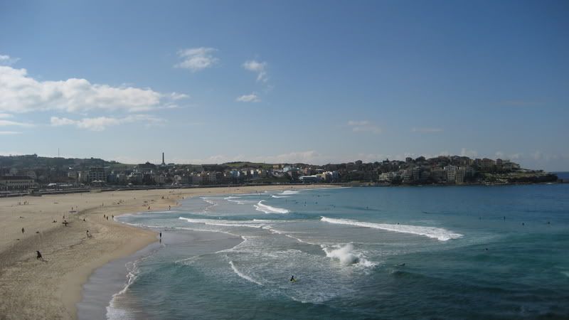 IMG_3750.jpg