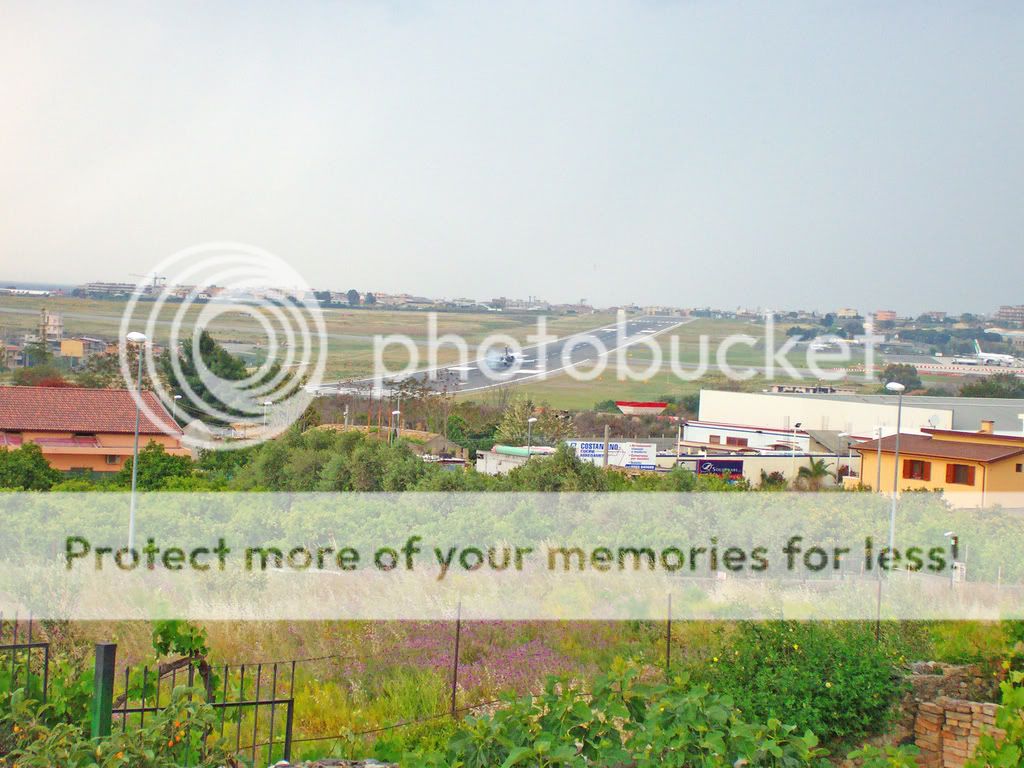 100D3739.jpg