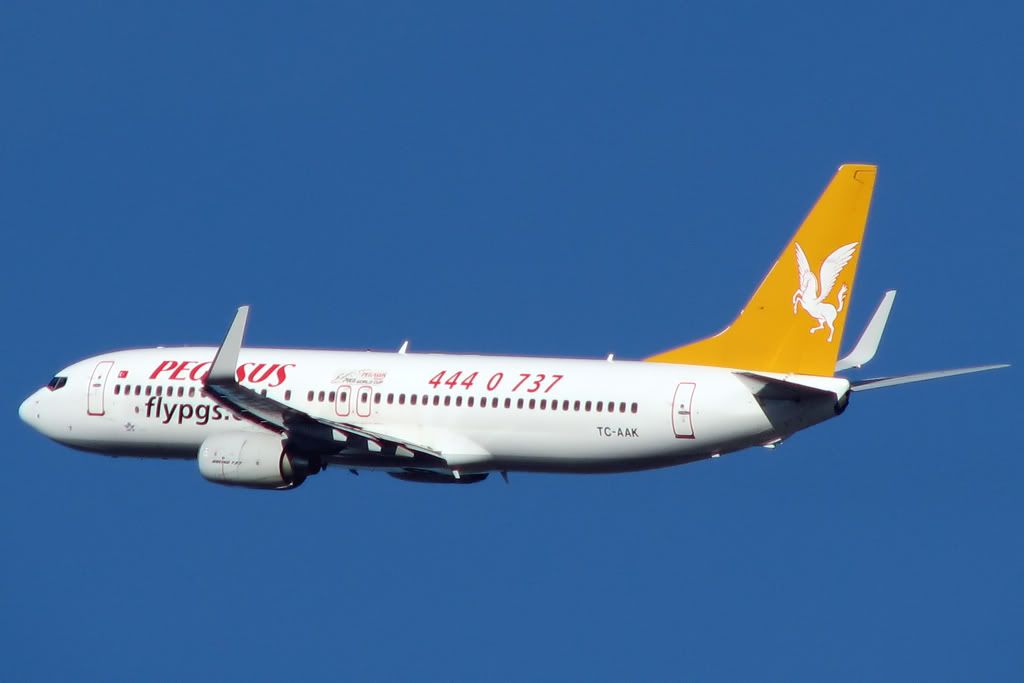 B737WPegasus.jpg