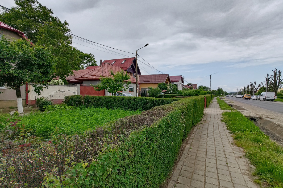 106.jpg