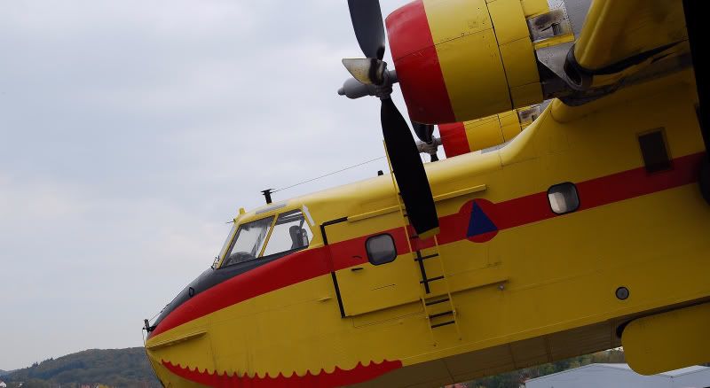 sinsheim0012.jpg