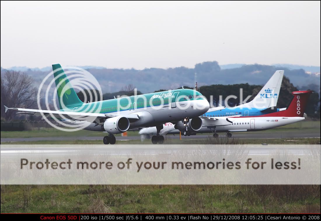 052_aerlingus__bibbi.jpg