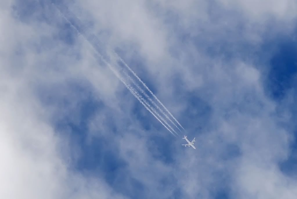 CopiadiDSC_5090.jpg