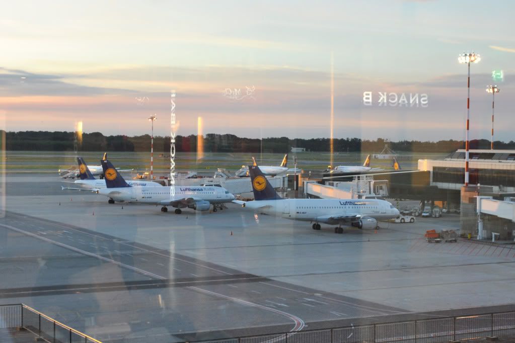 DSC_0211-1.jpg